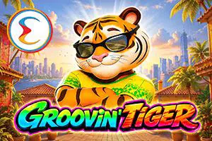 Groovin Tiger - Spin City - Lesotho