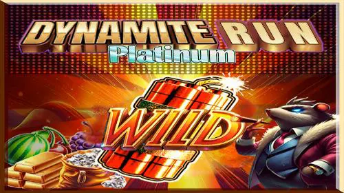 Dynamite Run Platinum - Spin City - Lesotho