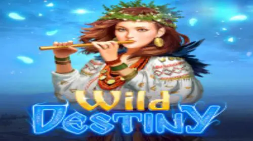 Wild Destiny - Spin City - Lesotho