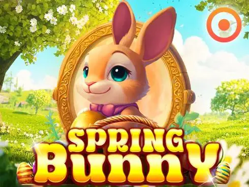 Spring Bunny - Spin City - Lesotho