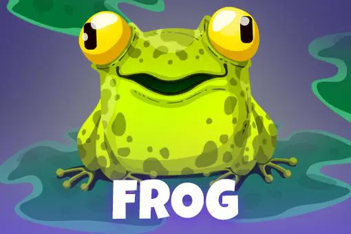 Froggy - Spin City - Lesotho
