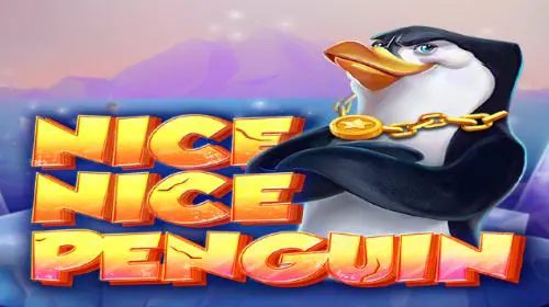 Nice Nice Penguin - Spin City - Lesotho