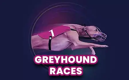 Greyhound Races