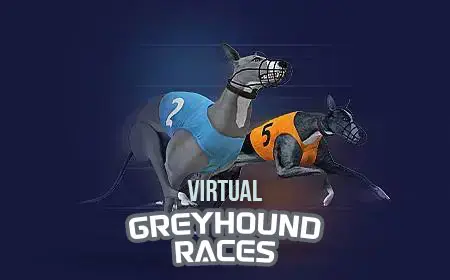 Virtual Greyhound Races